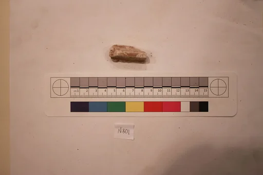 Stucco Fragment