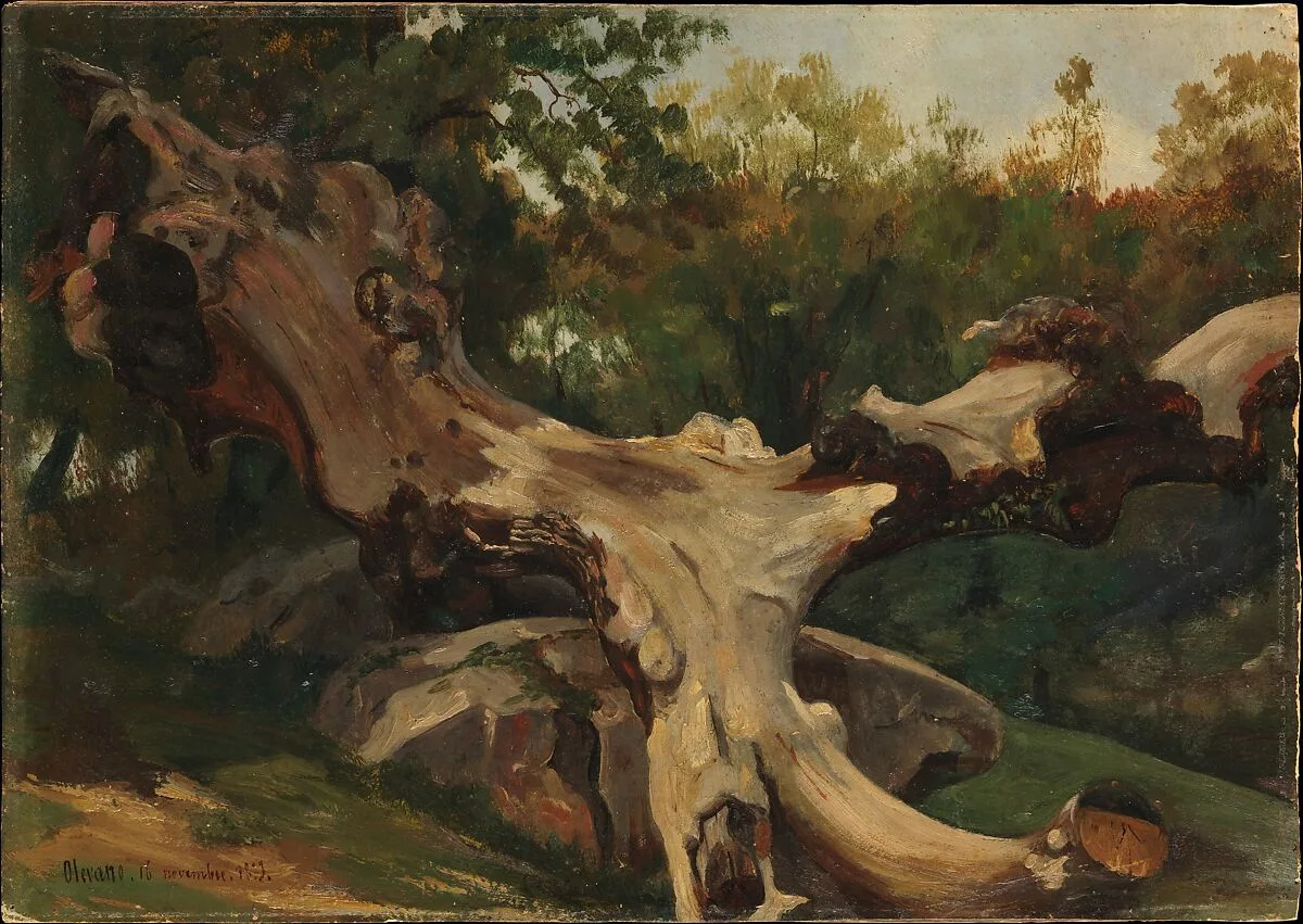 Uprooted Tree at Olevano Romano — Antoine-Xavier-Gabriel de Gazeau, comte de La Bouëre