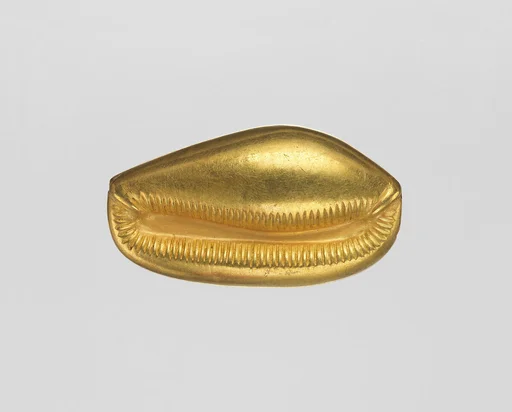 Cowrie shell bead