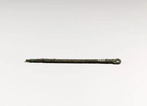 Needle