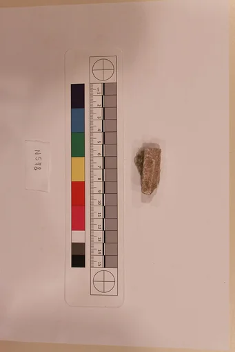 Stucco Fragment