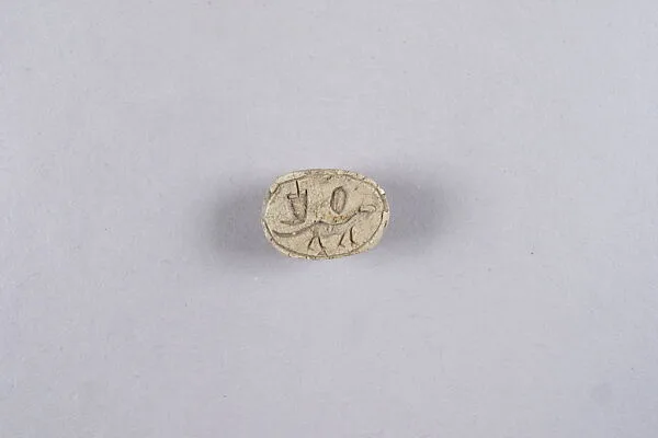 Scarab with ichneumon (mongoose) — Unknown