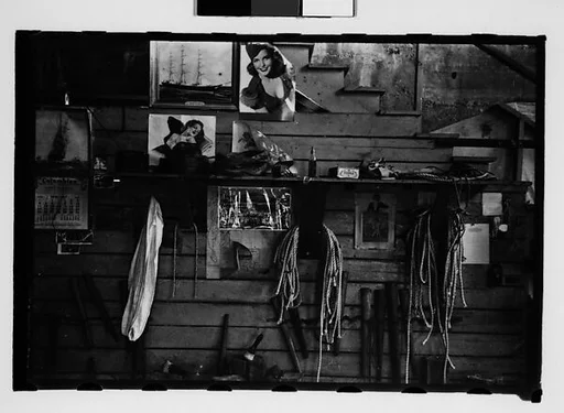 [Thirty-One 35mm Film Frames on Uncut Roll: 4 Views of Circus Storehouse Interior and 24 Studies of Elephants in Ringling Brothers Circus Winter Quarters, Sarasota, Florida, and 3 Test Frames]