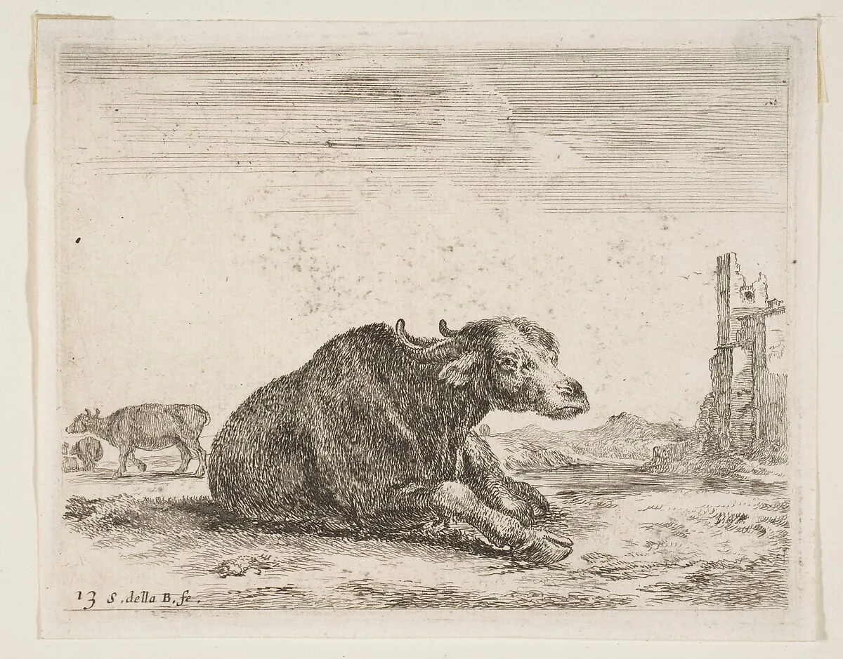 Buffalo lying down, plate 13 from "Various Animals" (Diversi Animali) — Stefano della Bella