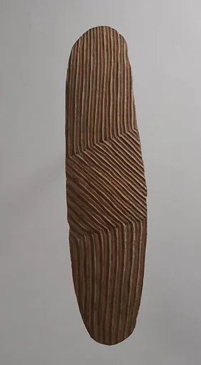 Shield (Wunda)