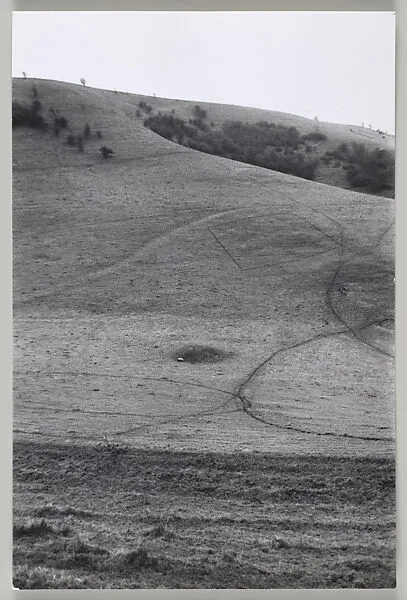 A Walking Sculpture in Two Parts, with Cattle Tracks, Luccombe Bottom, England — Richard Long