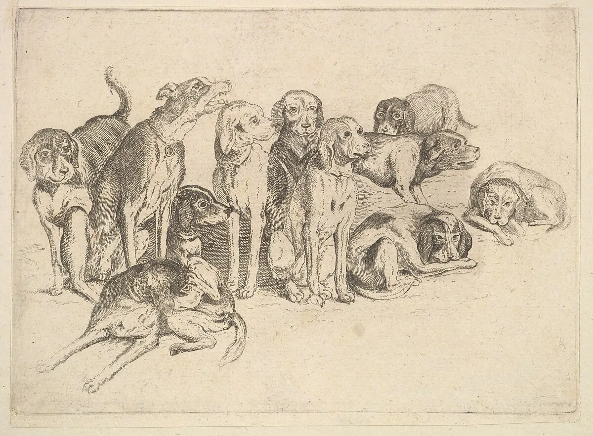 Eleven Hounds — Wenceslaus Hollar