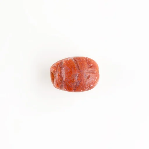 Scarab