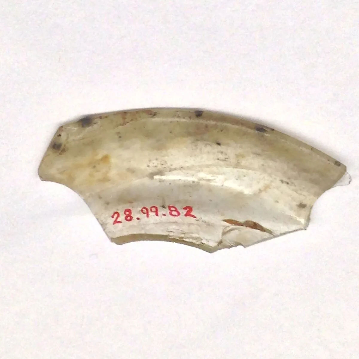 Fragment — Unknown