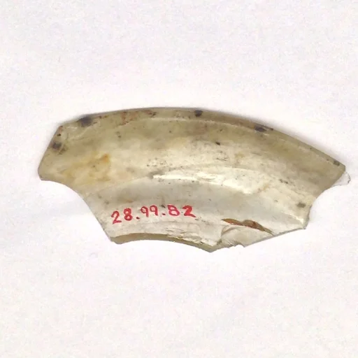 Fragment