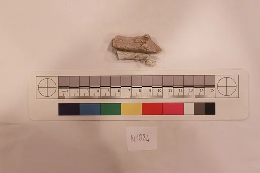 Stucco Fragment