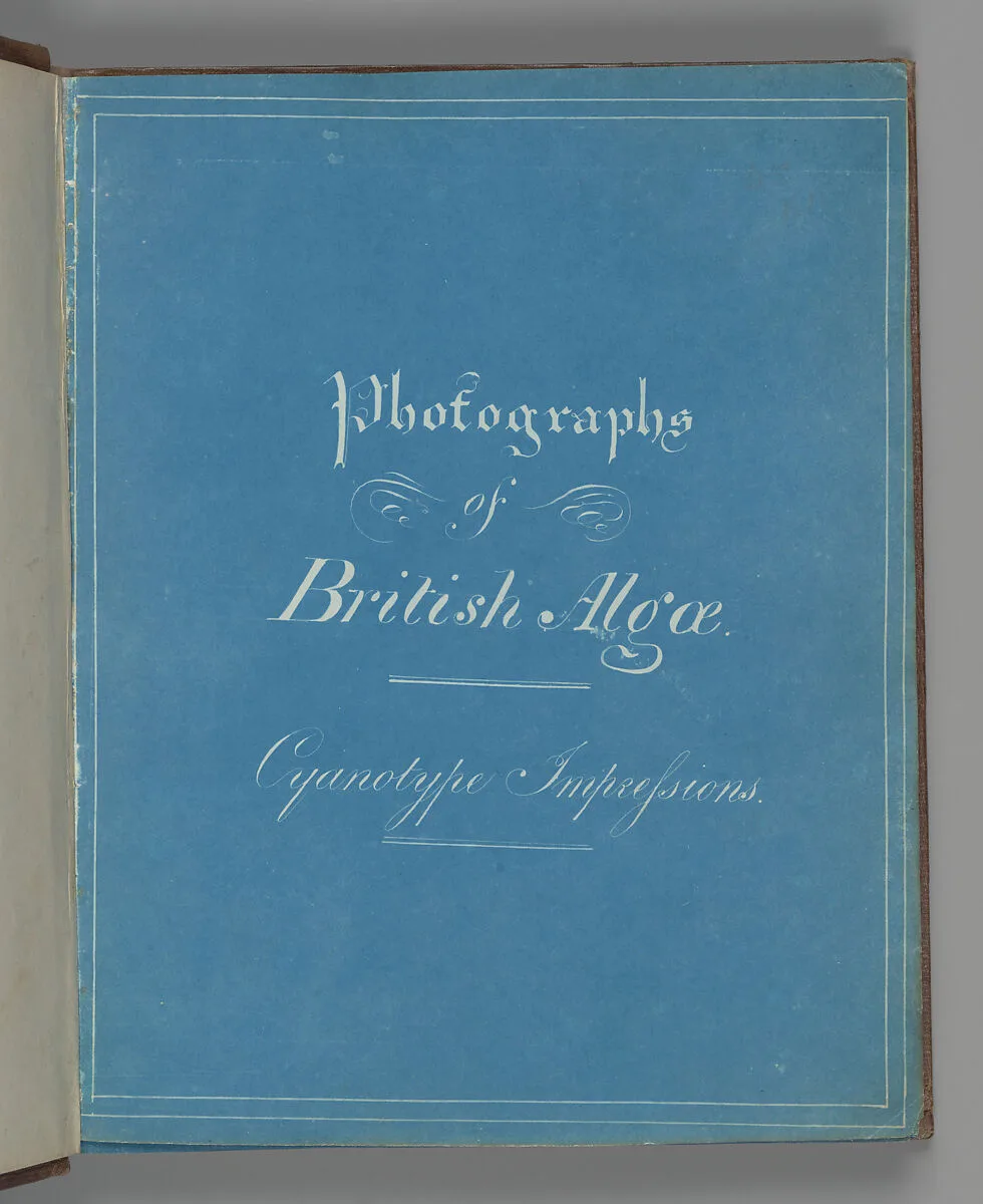 Photographs of British Algae: Cyanotype Impressions — Anna Atkins