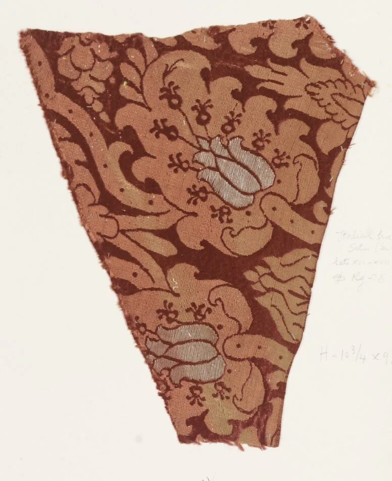 Fragment — Unknown