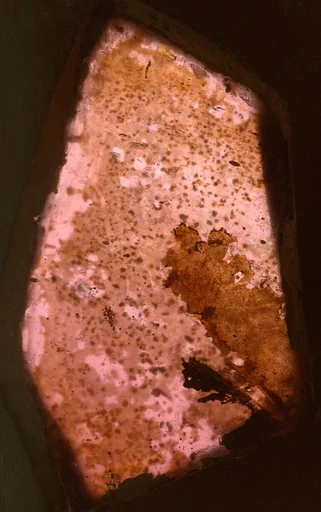 Fragment