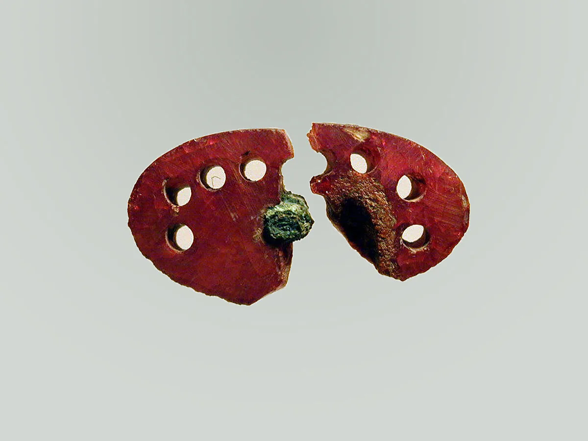 Fibula, fragment — Unknown