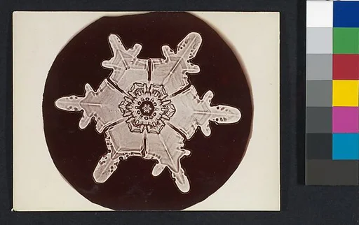 [Snow Crystal]
