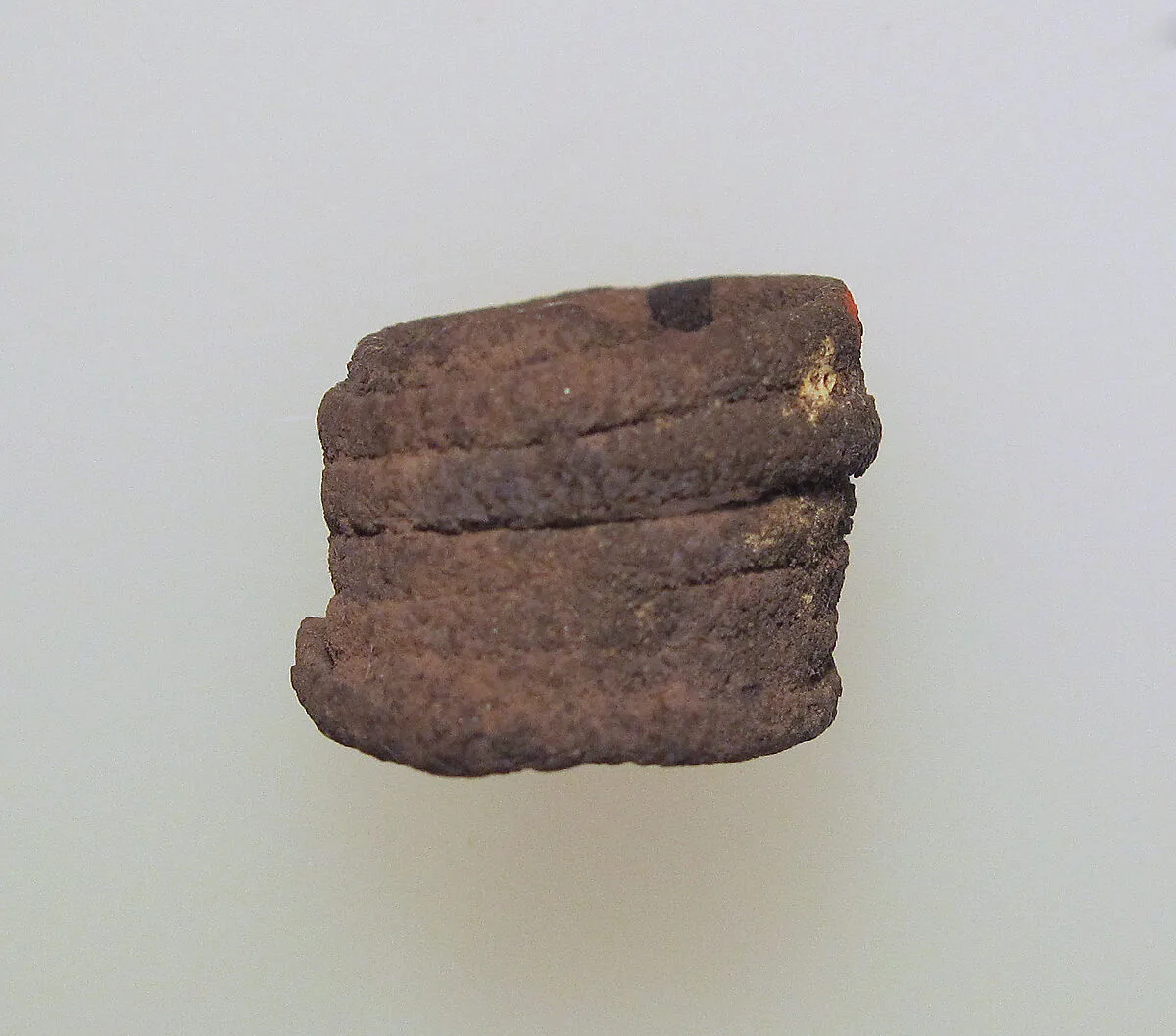Earring or spiral — Unknown