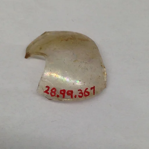 Fragment
