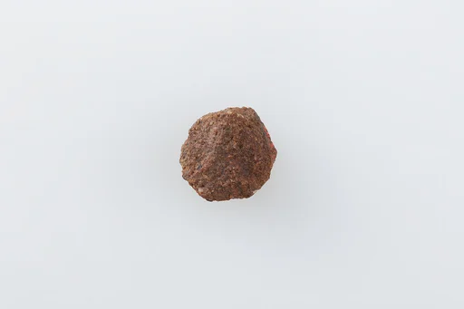 Hypocephalus Biscuit of Resin