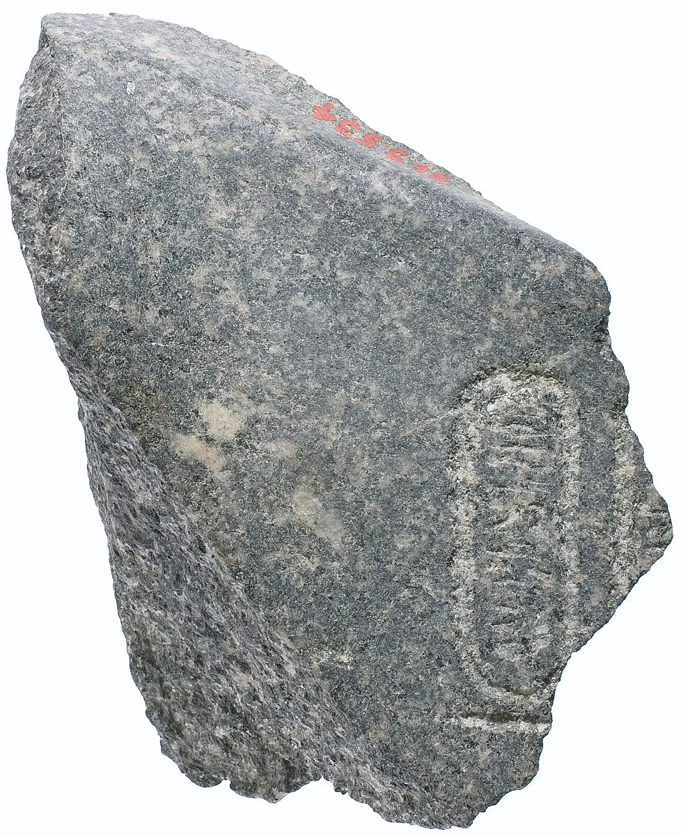 Right shoulder and chest with Aten cartouches — Unknown
