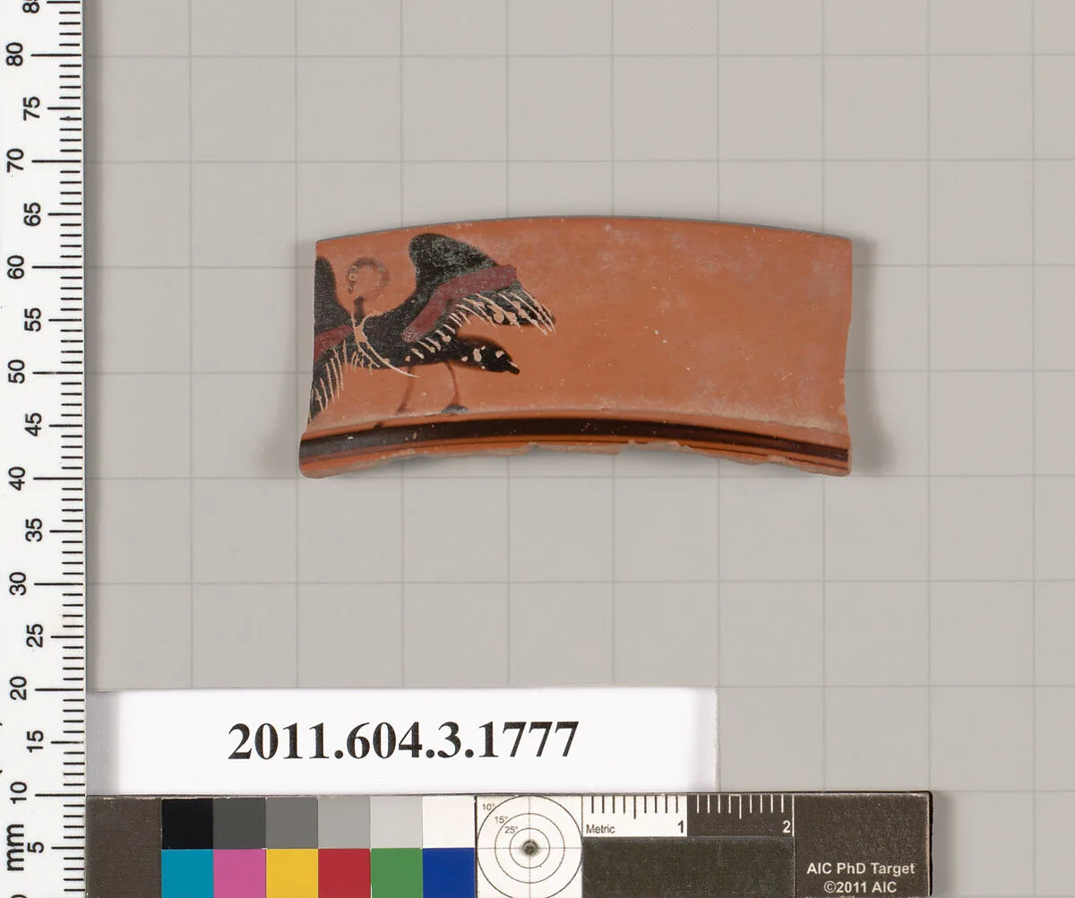 Terracotta rim fragment of a kylix: Lip cup (drinking cup) — Unknown