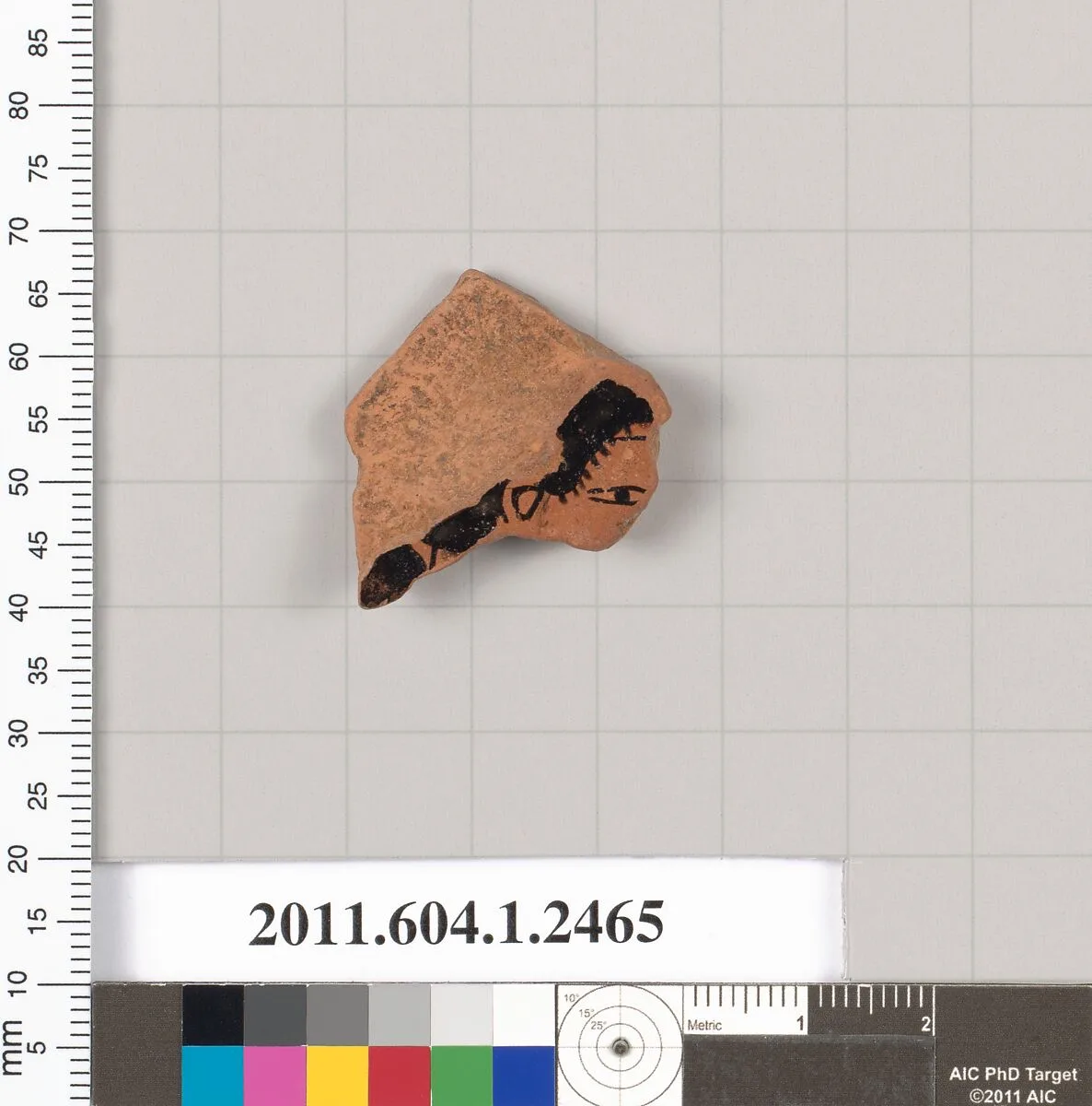 Terracotta fragment of a kylix (drinking cup) — Unknown