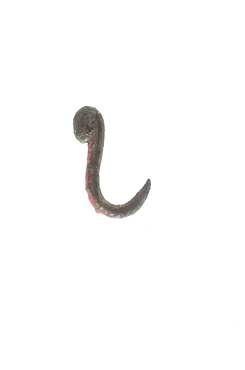 Fish hook — Unknown