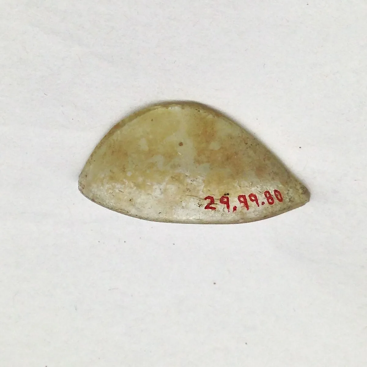 Fragment — Unknown