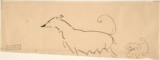 Two Dogs