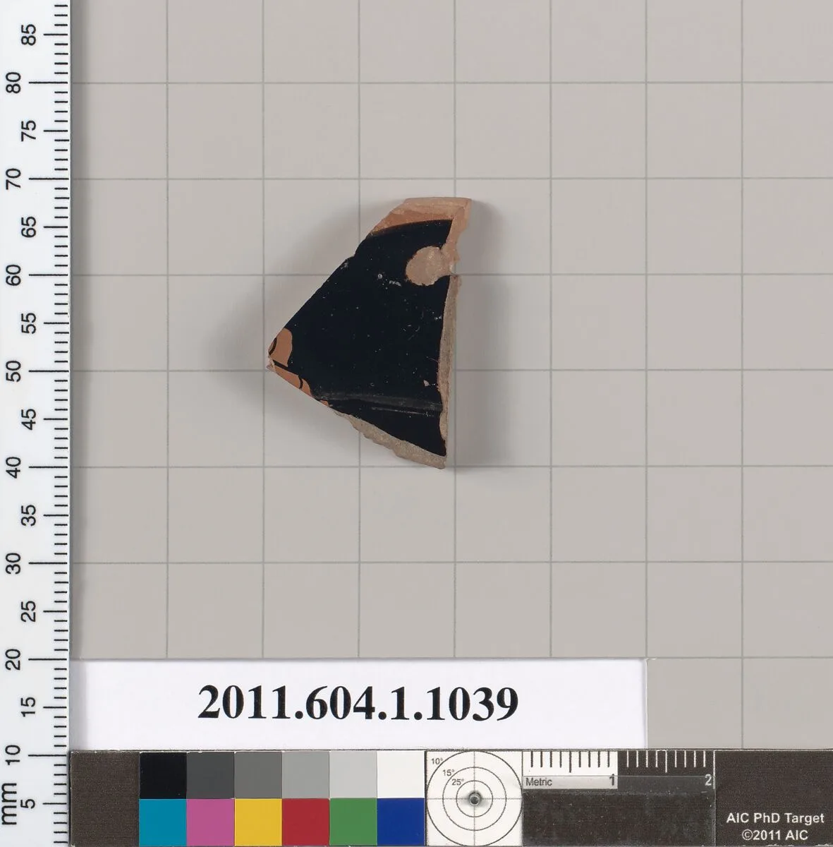 Terracotta fragment of a kylix (drinking cup) — Unknown