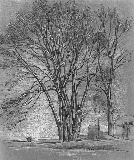 Trees