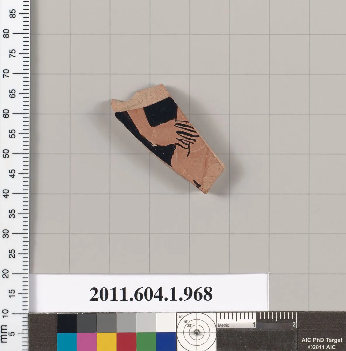 Terracotta fragment of a kylix (drinking cup) — Unknown