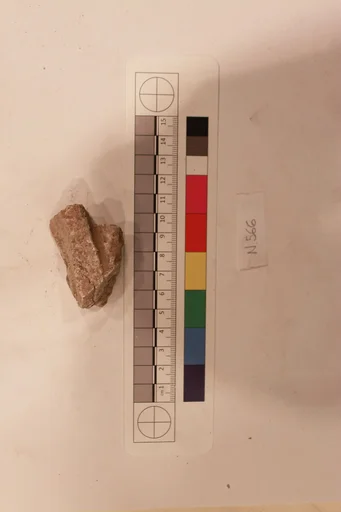 Stucco Fragment