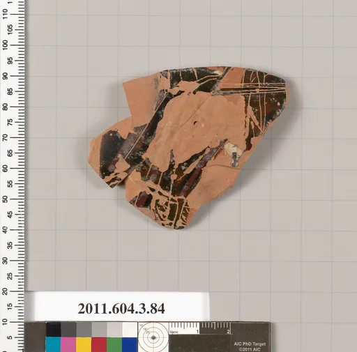 Terracotta fragment of an amphora (jar)