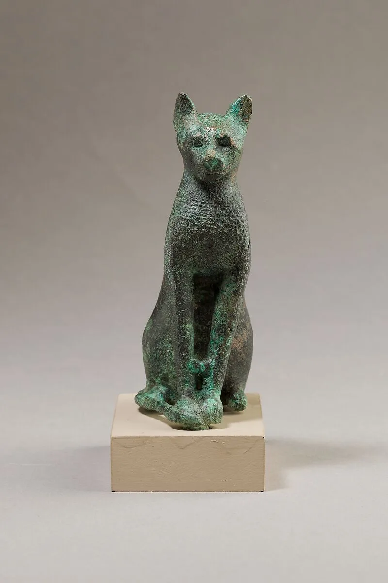 Cat — Unknown