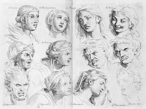 The Expressions