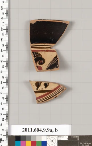 Terracotta fragments of a kylix (drinking cup)