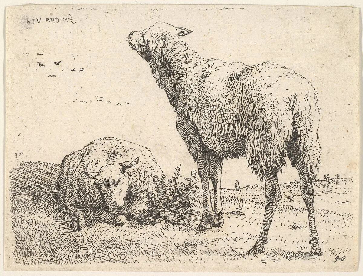 Two sheep, one shown frontally in a reclining position with its legs folded underneath the body, to the right a standing sheep shown from behind in three-quarters view, a grassy field below them and beyond — Karel Dujardin