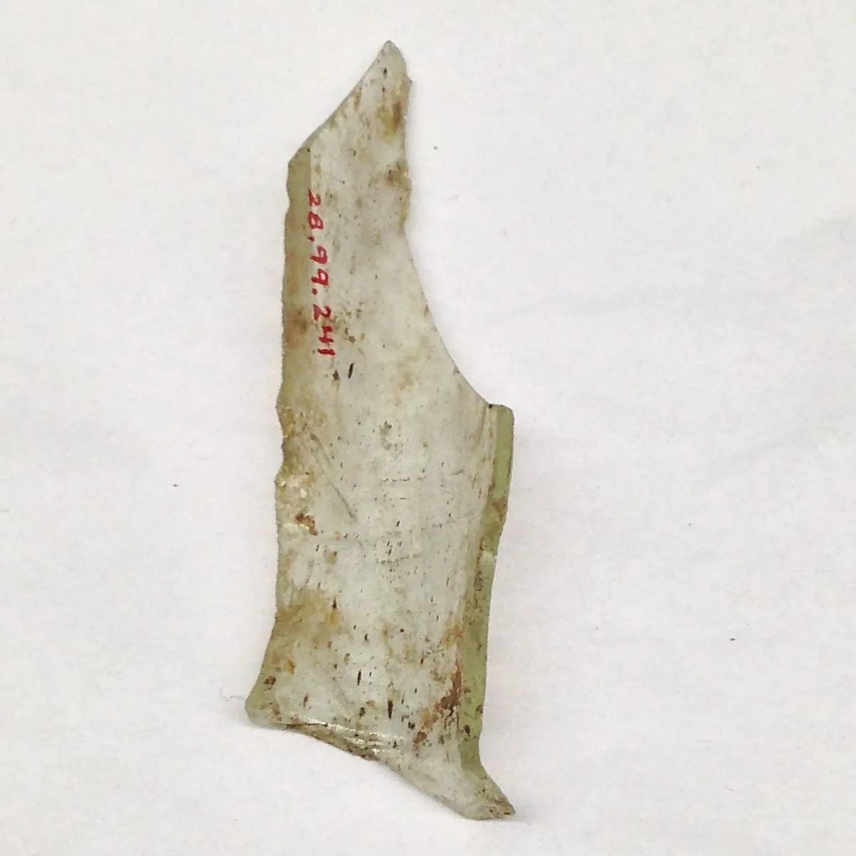 Fragment — Unknown