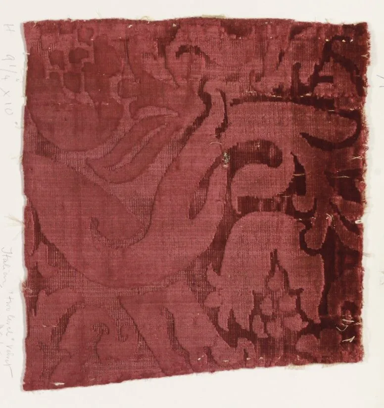 Fragment — Unknown