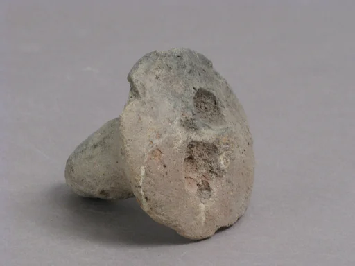 Lid