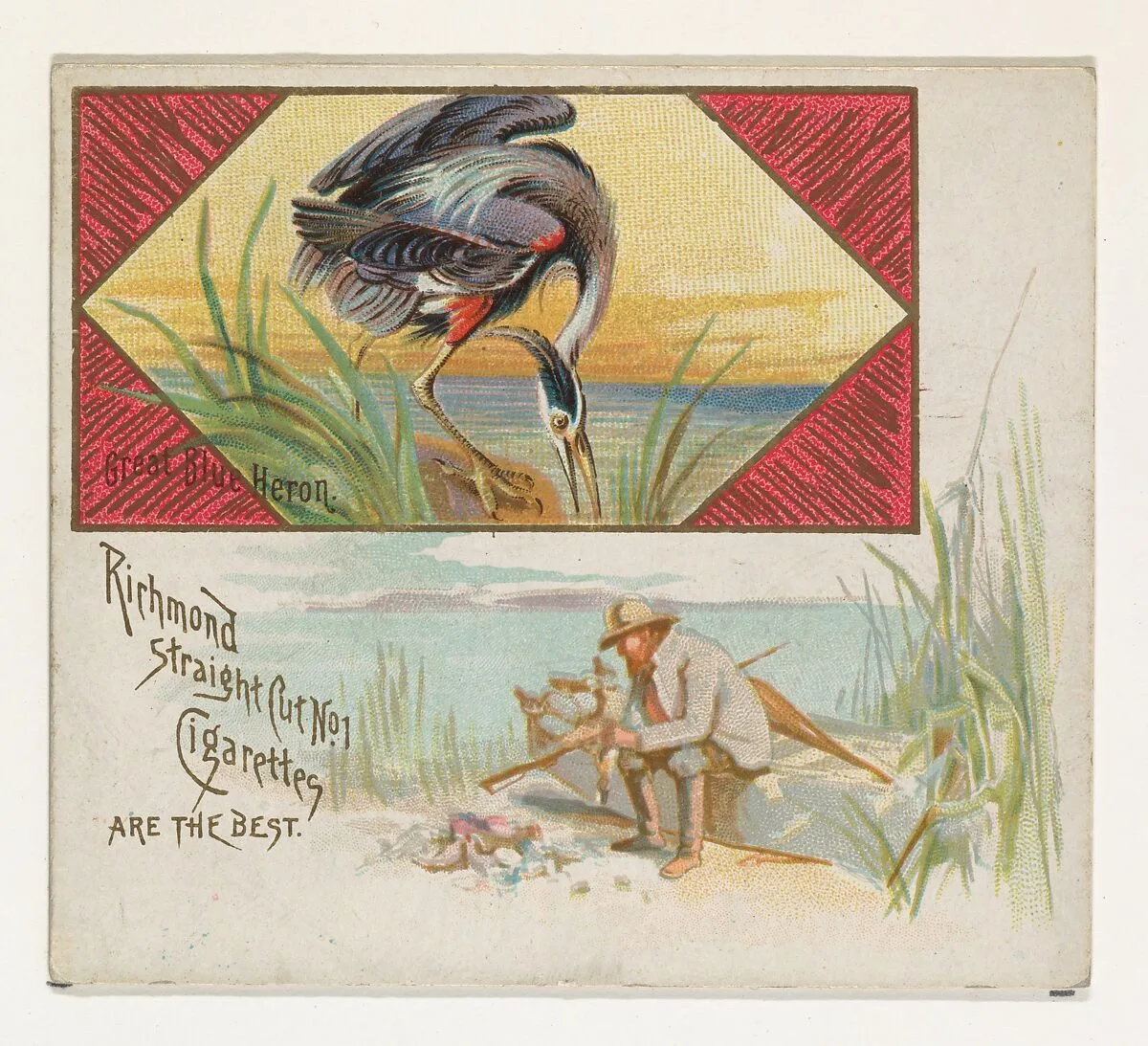 Great Blue Heron, from the Game Birds series (N40) for Allen & Ginter Cigarettes — Allen & Ginter