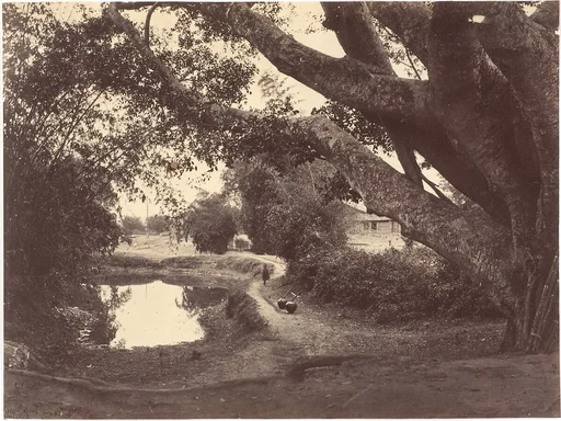 Village Road North River