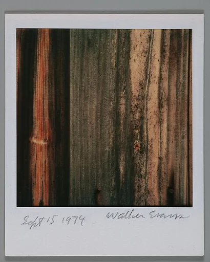 [Detail of Wood Grain]