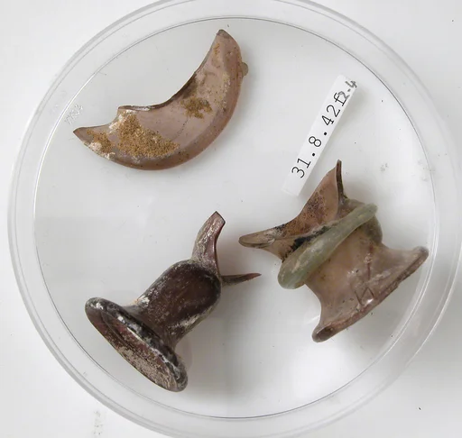 Bottle Rim Fragments