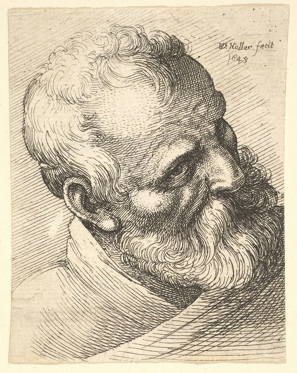 Bearded old man with a tilted head — Wenceslaus Hollar