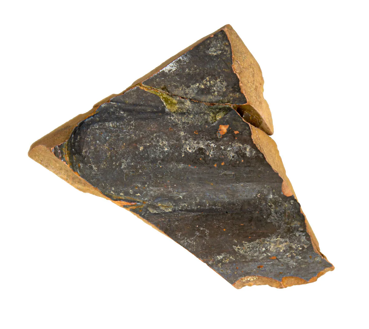 Volute-krater fragment — Unknown