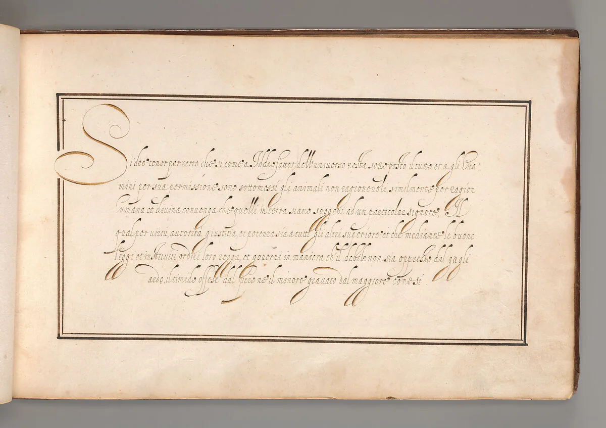 Calligraphic Exercise in Italian (Cursive Script) — Anonymous