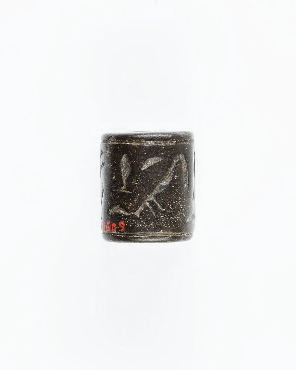 Cylinder seal — Unknown