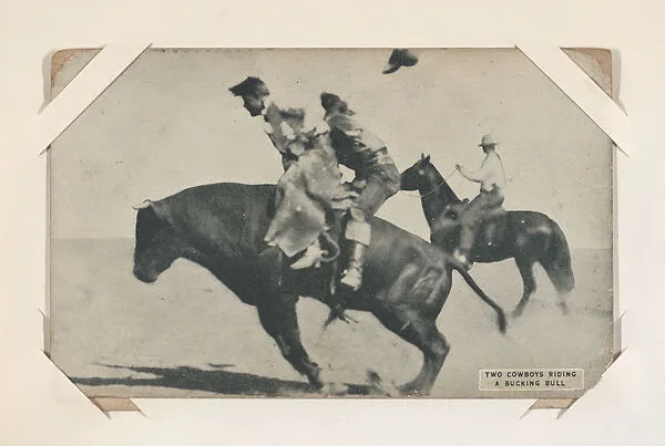 Two cowboys riding a bucking bull from Indians and Western Historical Scenes series (W417) — Unknown